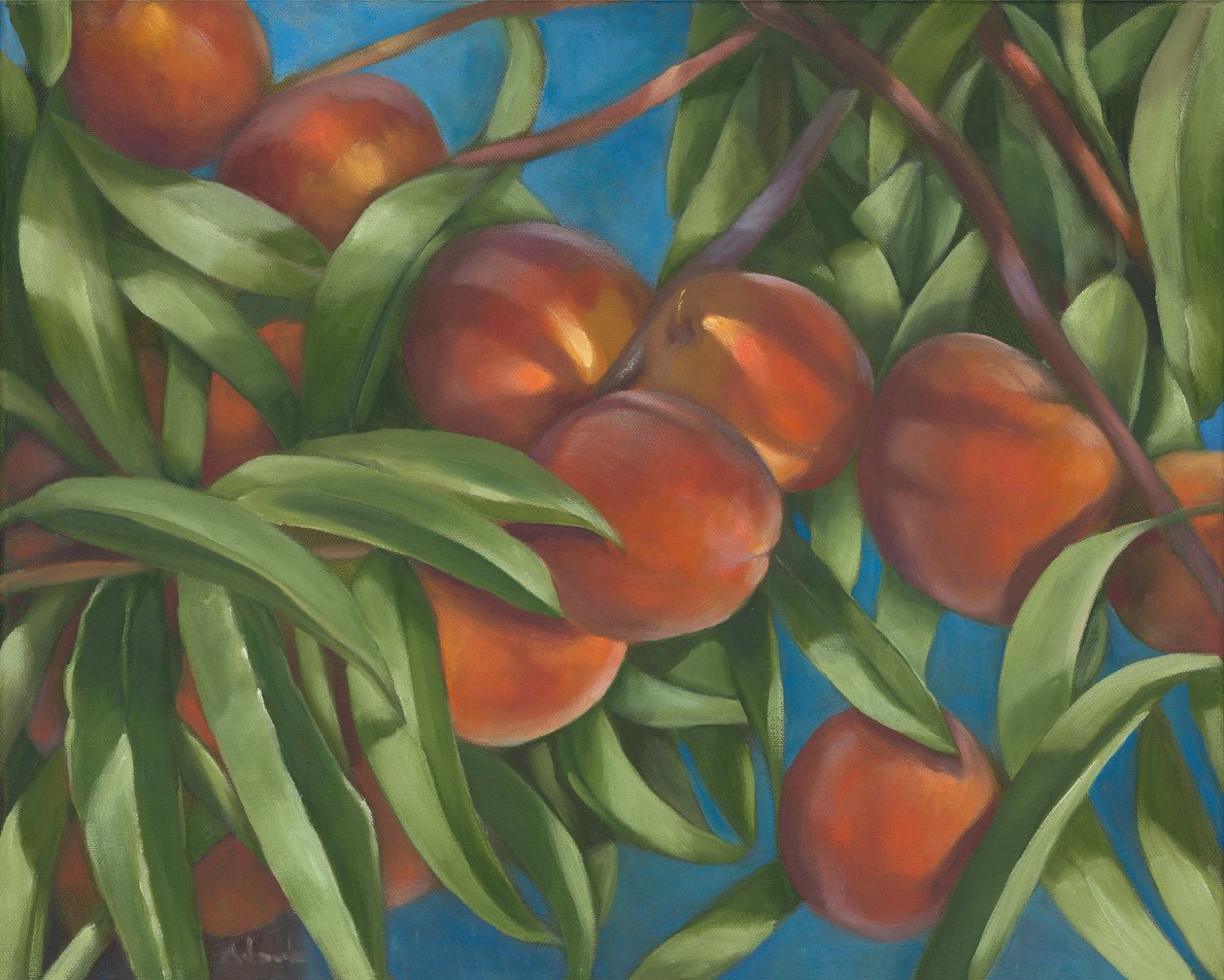 Melocotonero, 2014 (óleo sobre lienzo) de Rosemarie Adcock