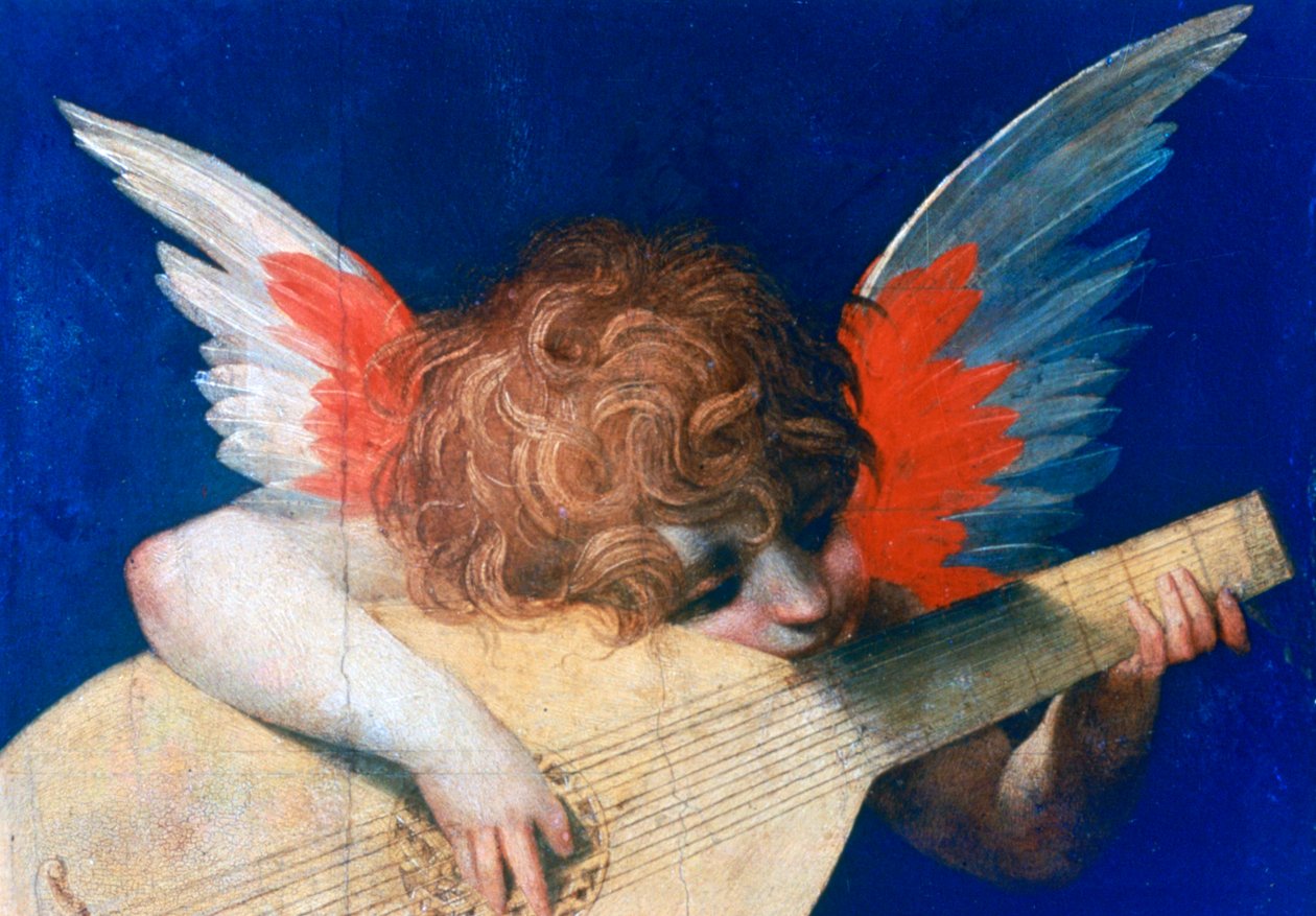 Ángel músico, c1520 de Rosso Fiorentino
