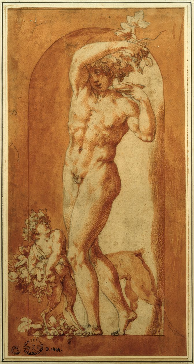 Baco en nicho de Rosso Fiorentino