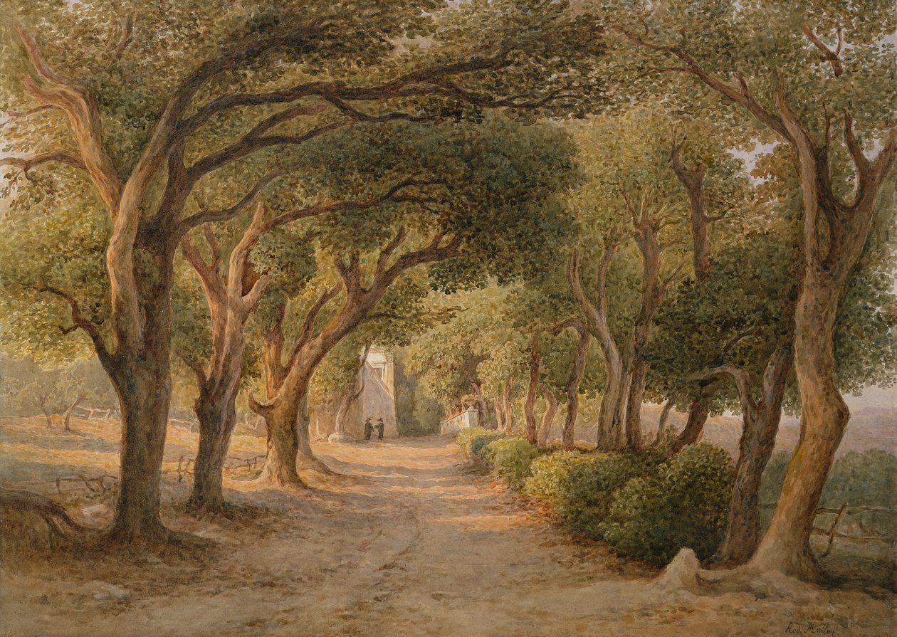 Castel Gandolfo (watercolor on paper) de Rudolf Müller