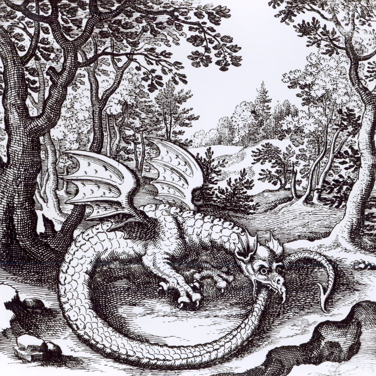 Un Dragón en el Bosque, de 