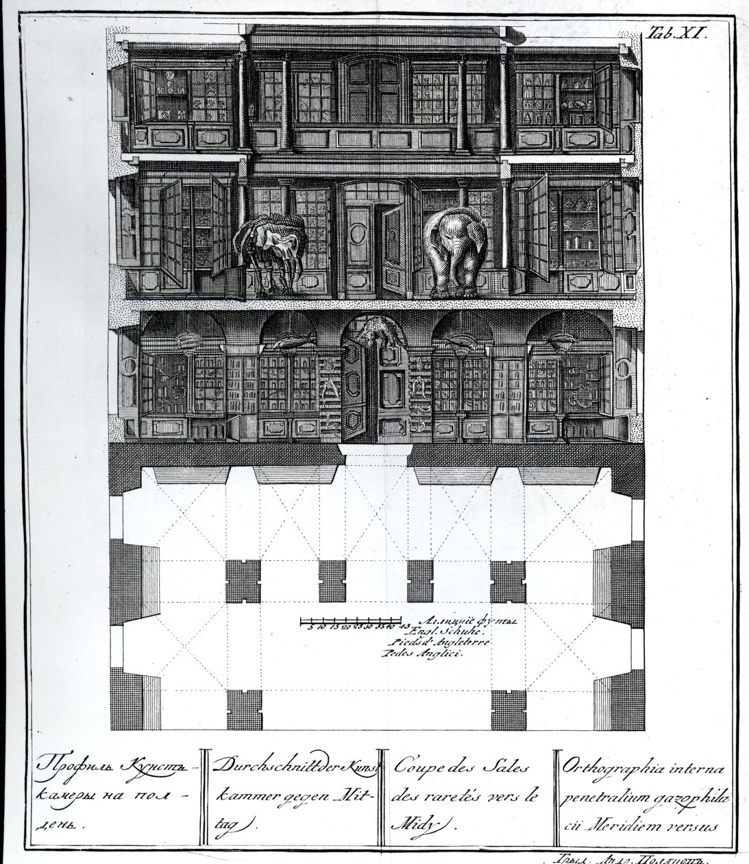 Vista en sección del Salón de Rarezas hacia el sur, ilustración en Cámaras de la Biblioteca y Galería de la Academia Imperial de Ciencias de San Petersburgo de Russian School