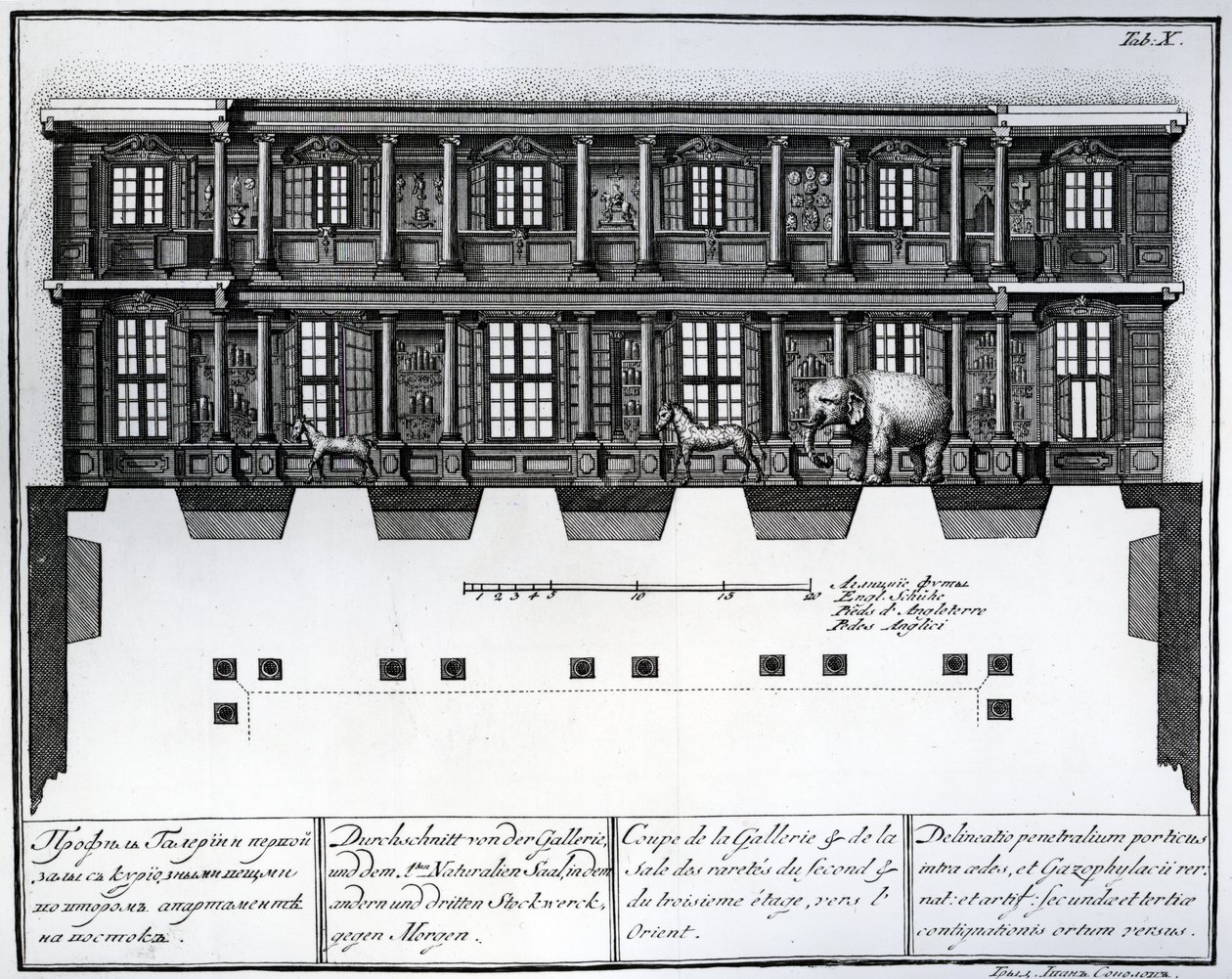 Vista en sección del segundo y tercer piso del Salón de Rarezas mirando hacia el este, ilustración en Cámaras de la Biblioteca y Galería de la Academia Imperial de Ciencias de San Petersburgo de Russian School