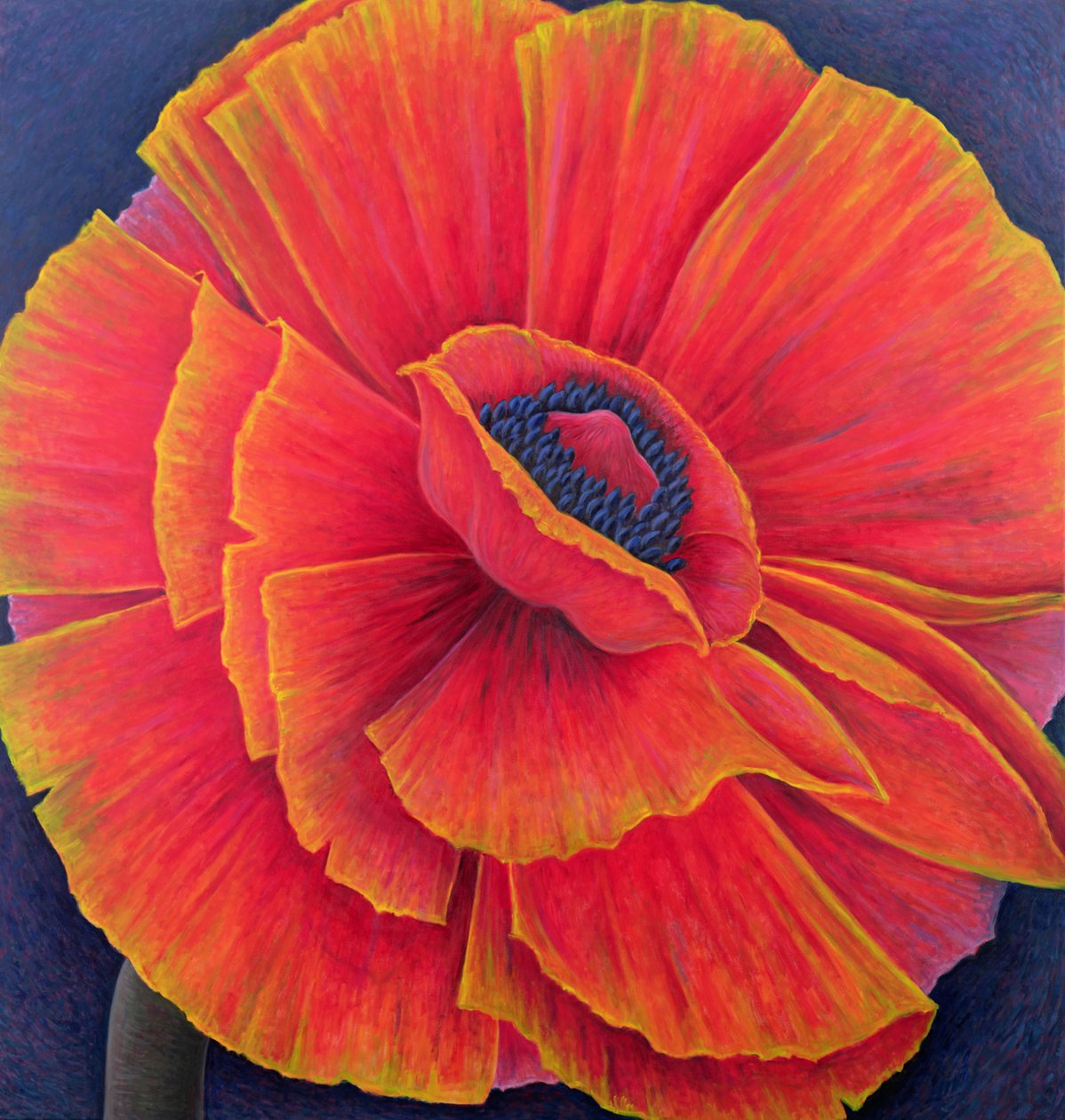 Gran Amapola, 2003 de Ruth Addinall