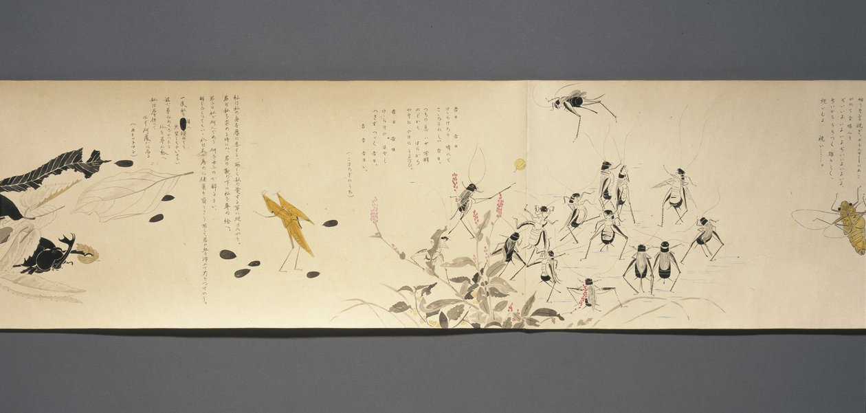 Amigos de la vida silvestre (Yasei no Tomo), Periodo Taisho, Año 7 de Taisho, c.1918 de Ryoka Kawakami