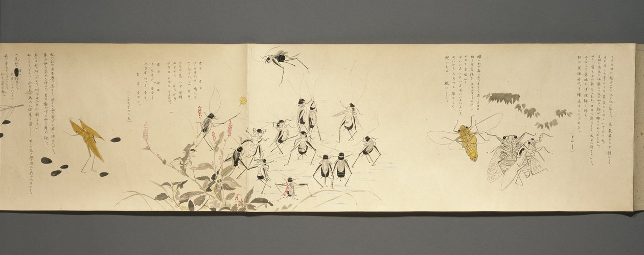 Amigos de la vida silvestre (Yasei no Tomo), Periodo Taisho, Año 7 de Taisho, c.1918 de Ryoka Kawakami