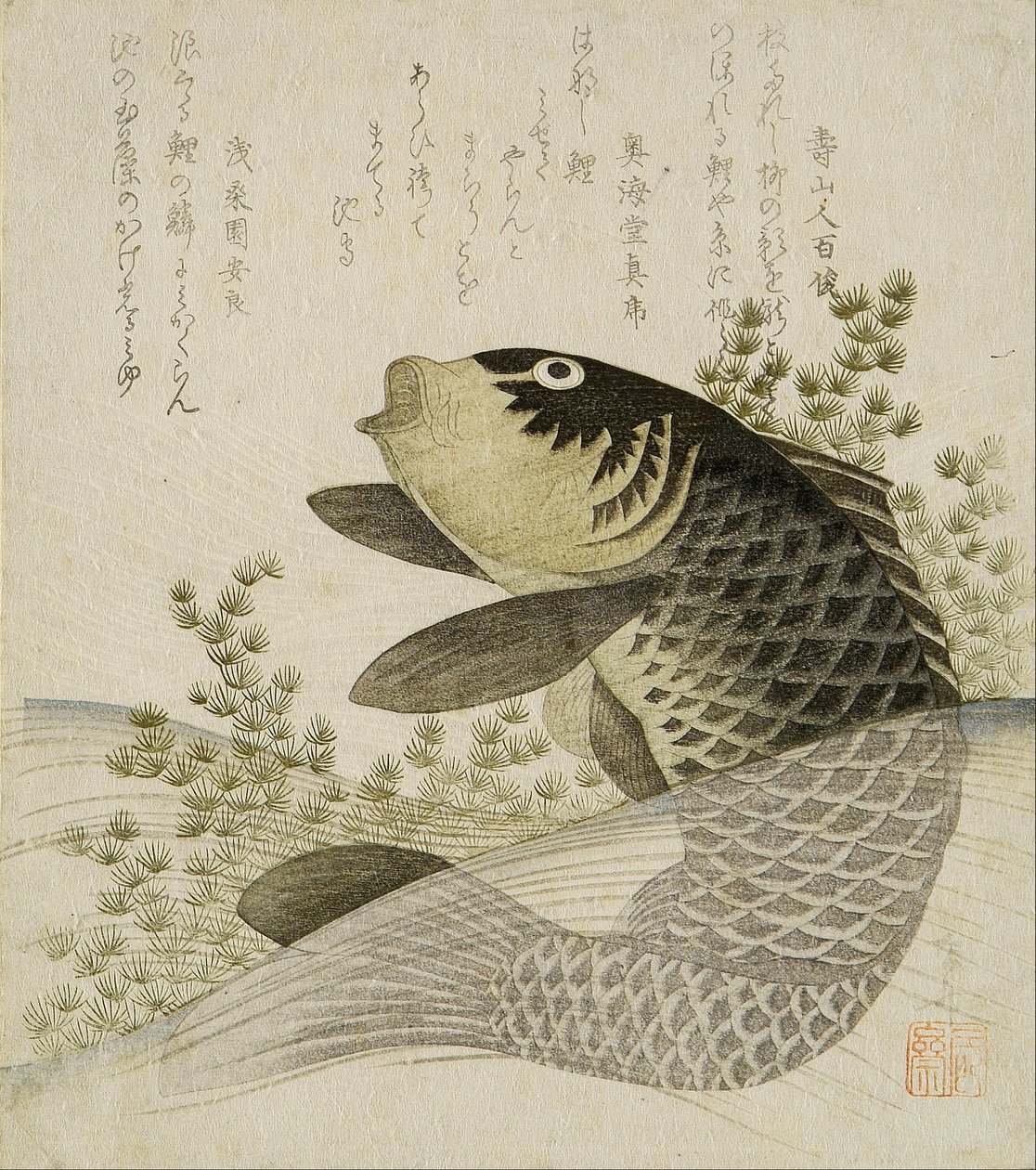 Carpas entre plantas de estanque de Ryuryukyo Shinsai