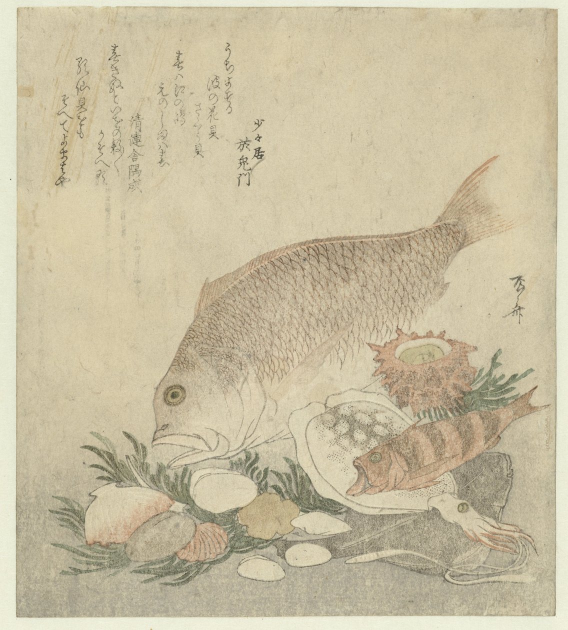 Pescado y Conchas de Ryuryukyo Shinsai