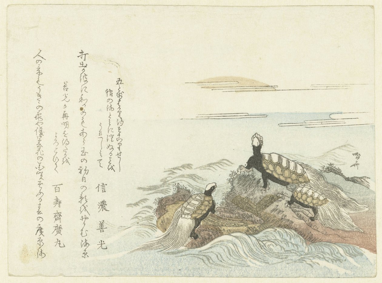 tortugas en una roca de Ryuryukyo Shinsai