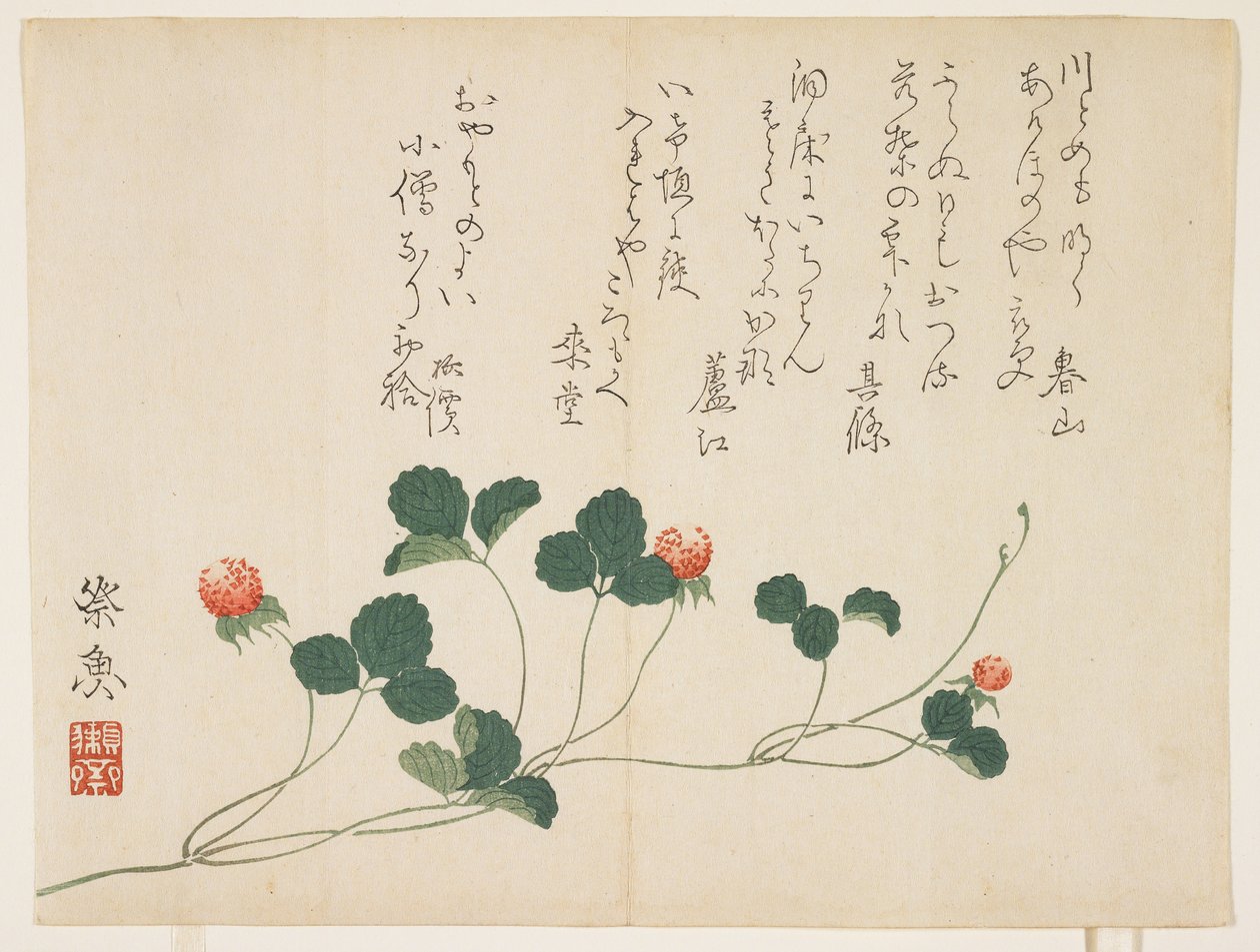 Frambuesas de Saigyo