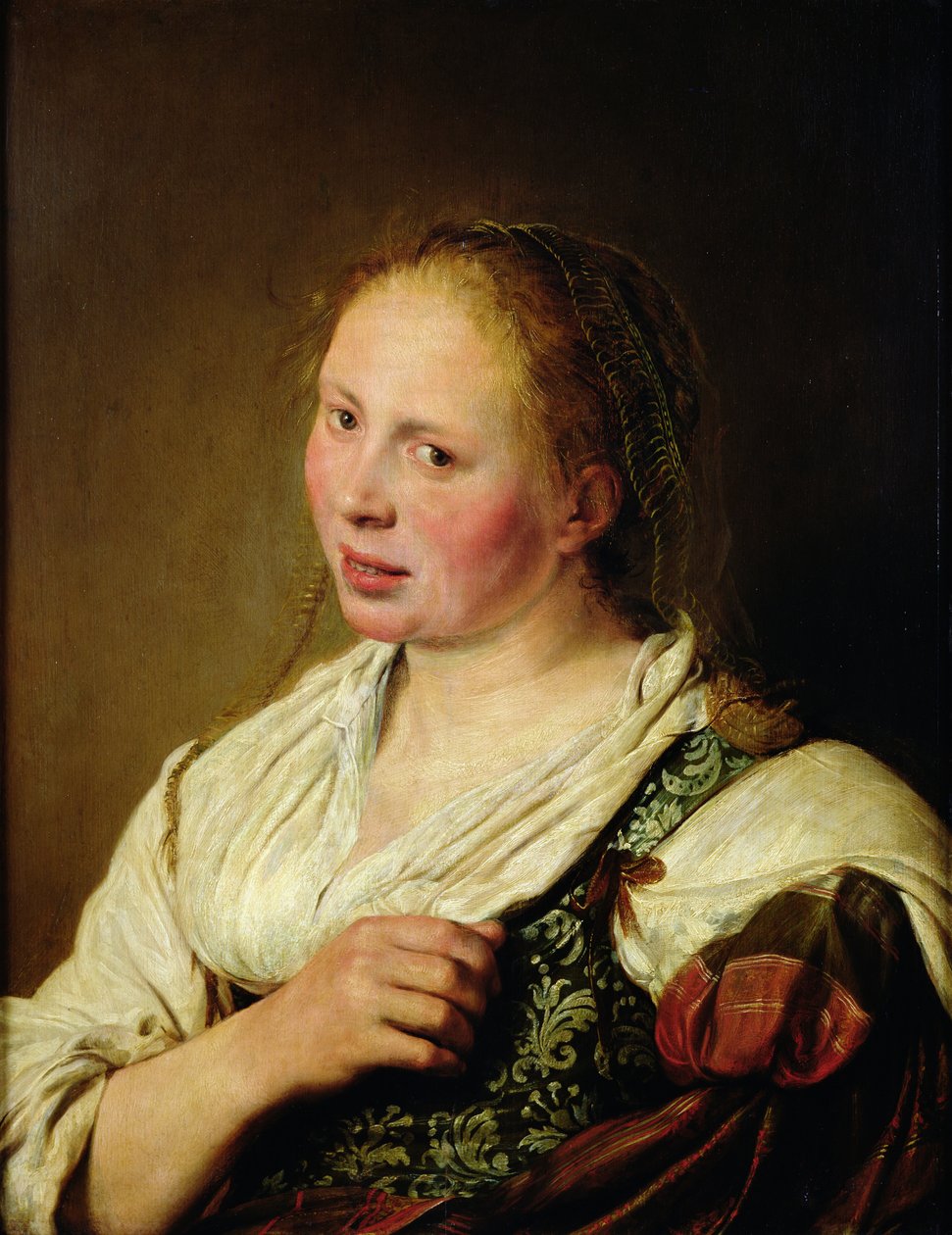 Pintura del joven campesino de Salomon de Bray