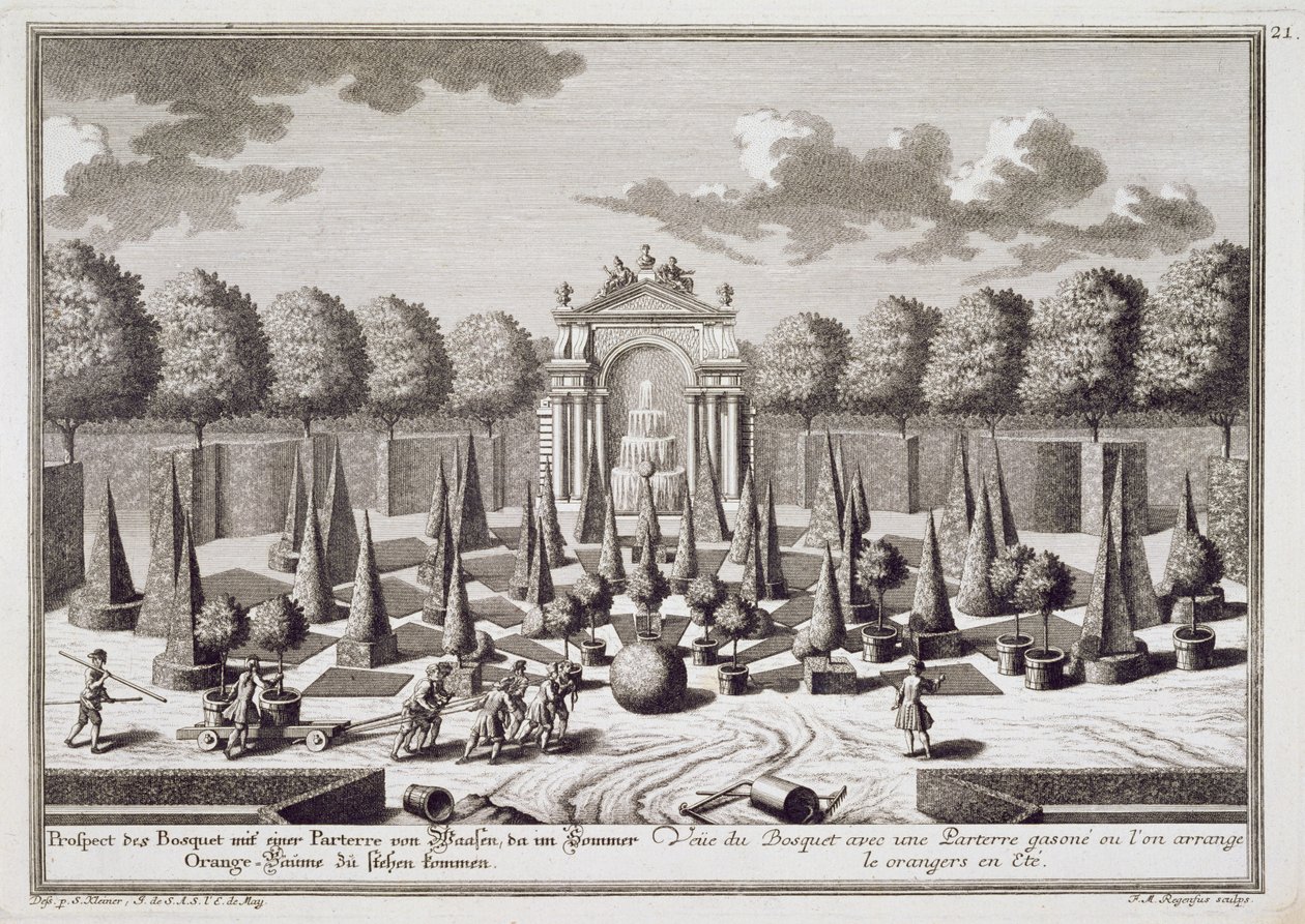 Un parterre con naranjos en el jardín del Palacio Lichtenstein, Viena, grabado por Franz Michael Regenfus (c.1712-80), publicado c.1724-37 de Salomon Kleiner