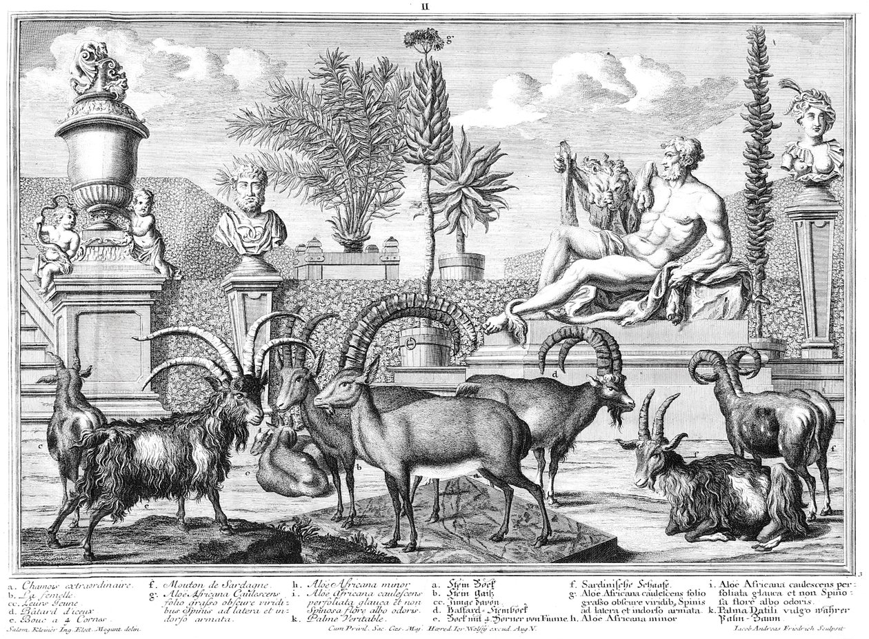 capricornio de Salomon Kleiner