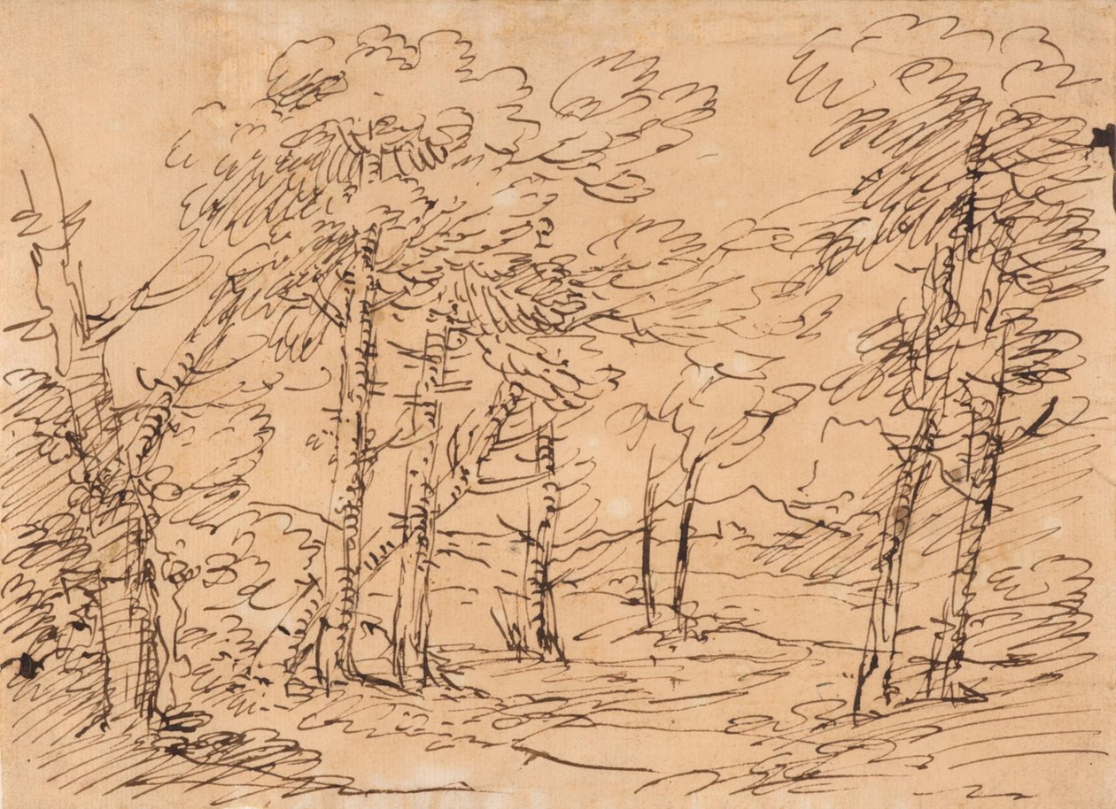 Paisaje con árboles y montañas al fondo de Salvator Rosa
