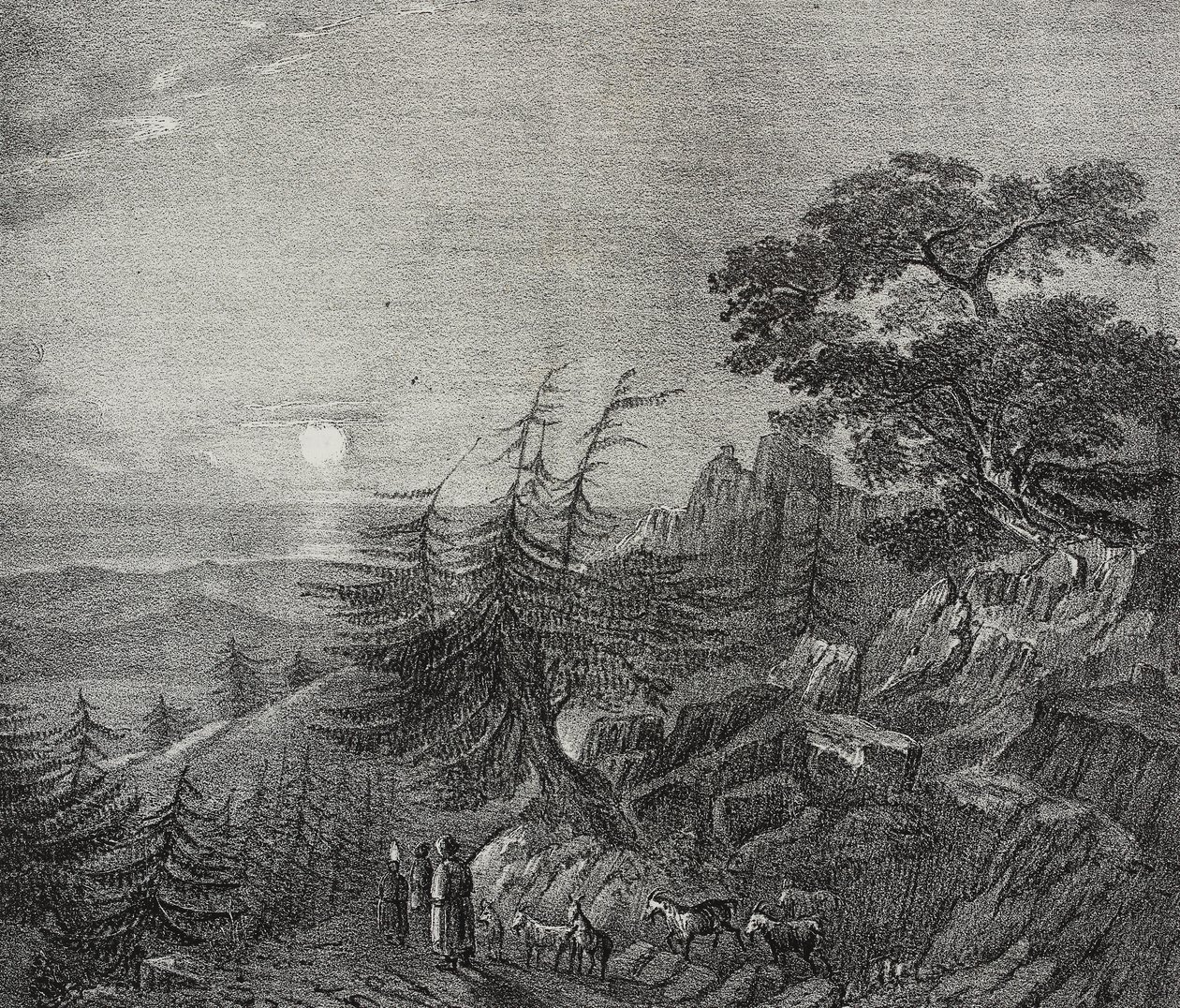 Paisaje de bosque de cedros en el monte Líbano, cerca de Beirut, Líbano, litografía de Salvatore Puglia de Poliorama Pittoresco, n 11, 22 de octubre de Salvatore Puglia
