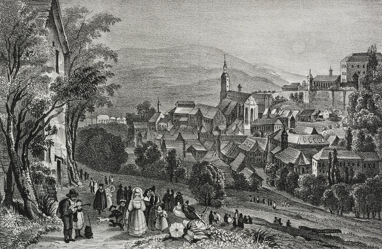 Vista de Baden, Suiza, litografía de Salvatore Puglia del Poliorama Pittoresco, n 29, 26 de febrero de Salvatore Puglia