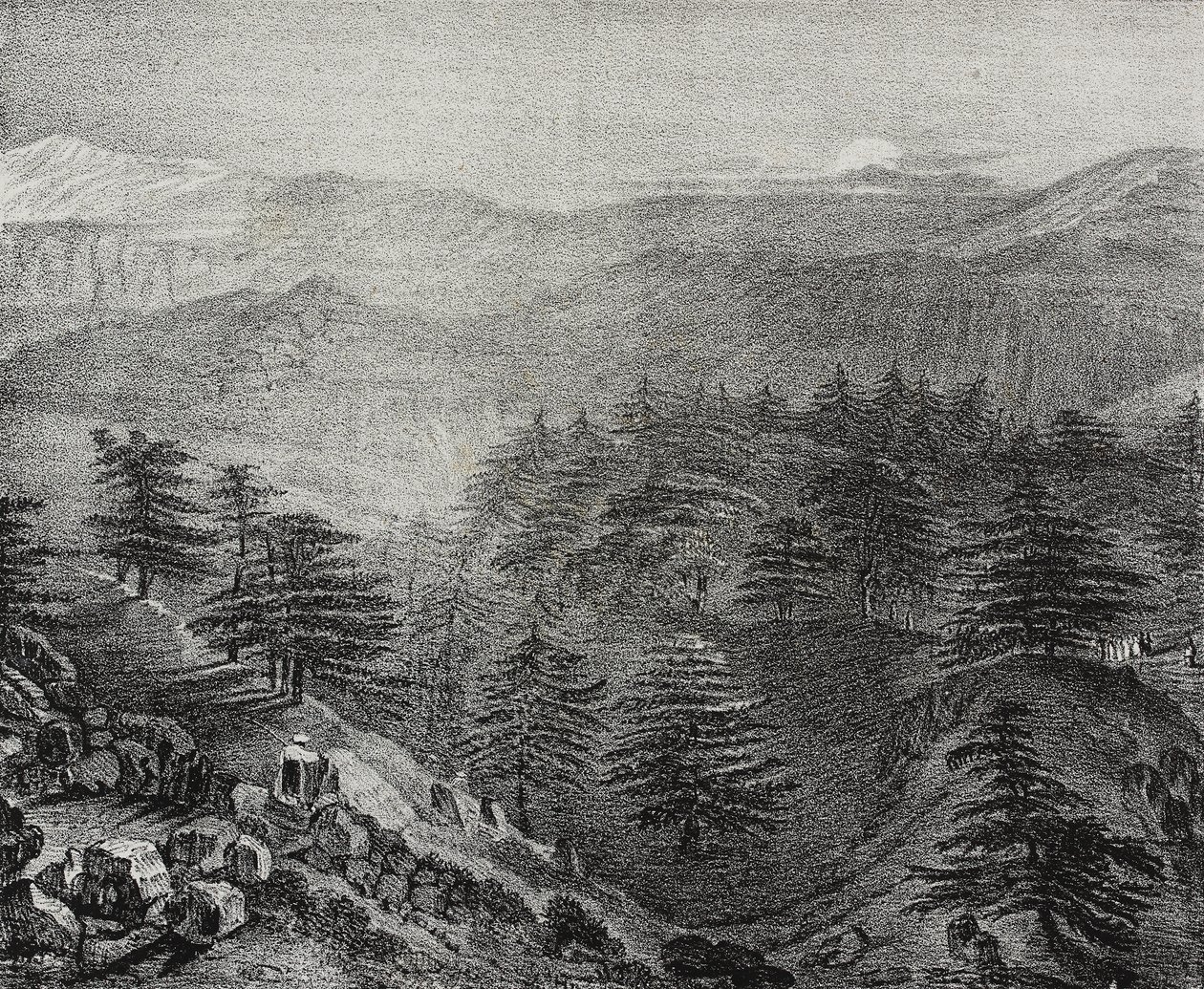 Vista del Monte Líbano con sus famosos cedros, Líbano, litografía de Salvatore Puglia de Poliorama Pittoresco, n 10, 15 de octubre. de Salvatore Puglia