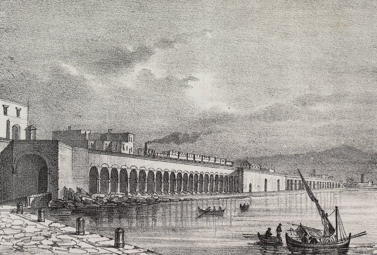 Vista del ferrocarril en Torre Annunziata, Campania, Italia, litografía de Gaetano Riccio de Poliorama Pittoresco, n 21, 31 de diciembre de Salvatore Puglia