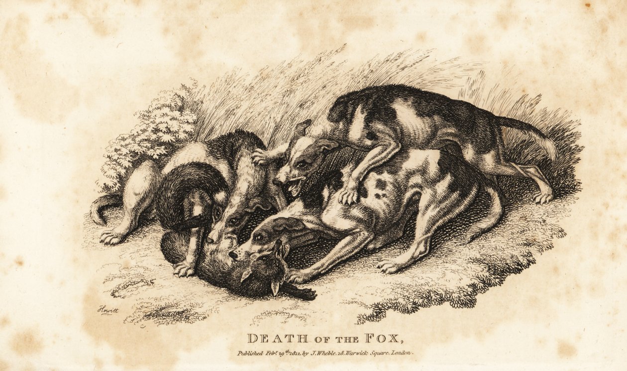 Muerte del zorro de Samuel (after) Howitt