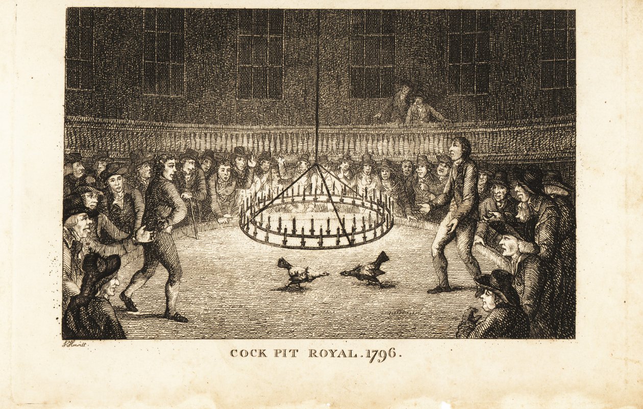 Jugadores observando una pelea de gallos a la luz de las velas en el Cock Pit Royal, St de Samuel (after) Howitt