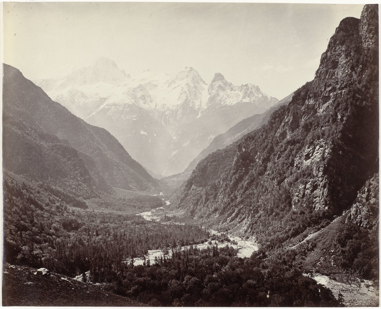 Vista de un valle y los picos de Srikanta, India Valle boscoso de Fulaldaru, con los picos Srikanta a lo lejos (título original) de Samuel Bourne (signed by artist)