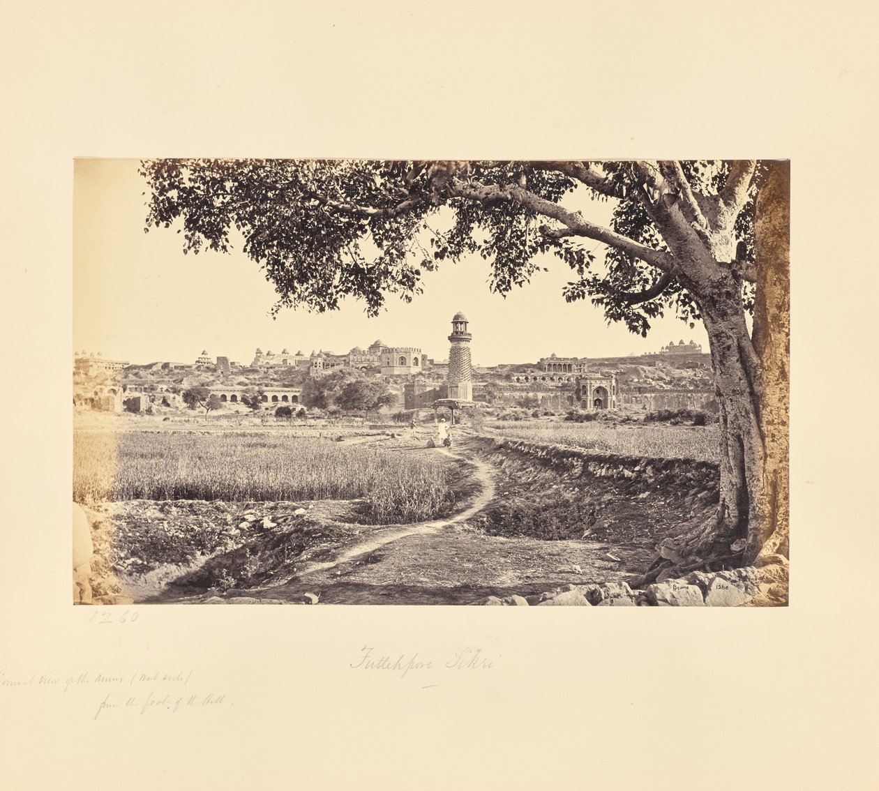 Fatehpur Sikri; vista general de las ruinas (lado oeste), desde el pie de la colina de Samuel Bourne