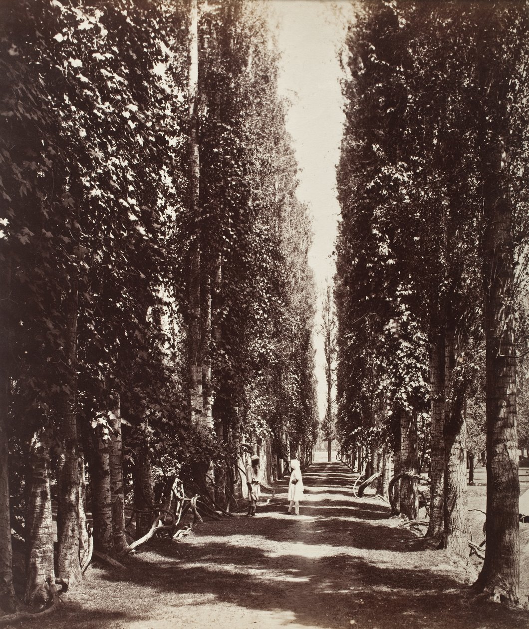 India de Samuel Bourne
