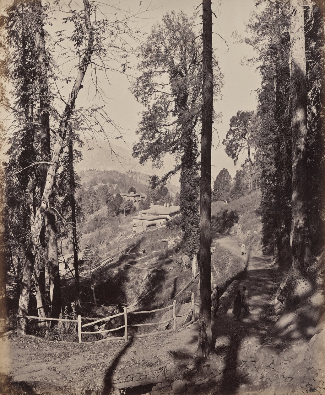 Murree. Una estación de montaña en el Himalaya, vista a través del bosque de Samuel Bourne