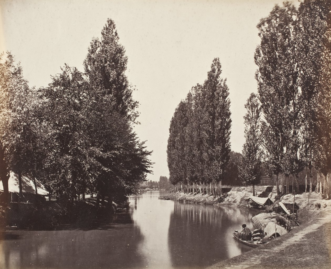 Río con árboles (India) de Samuel Bourne