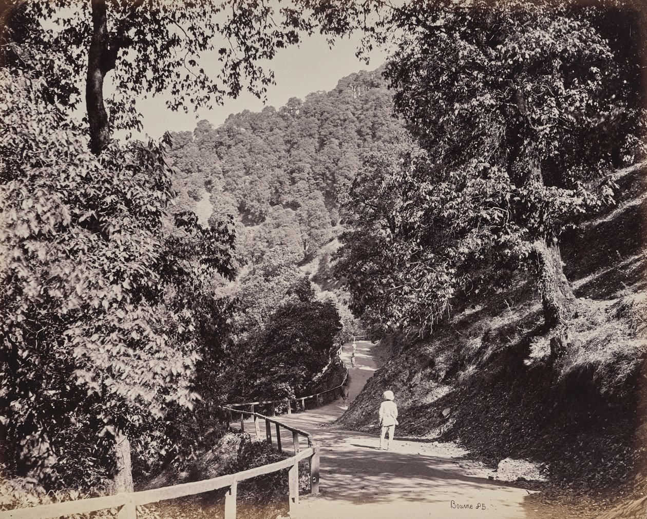 Shimla. El paseo cerca de Rabq Lodge de Samuel Bourne