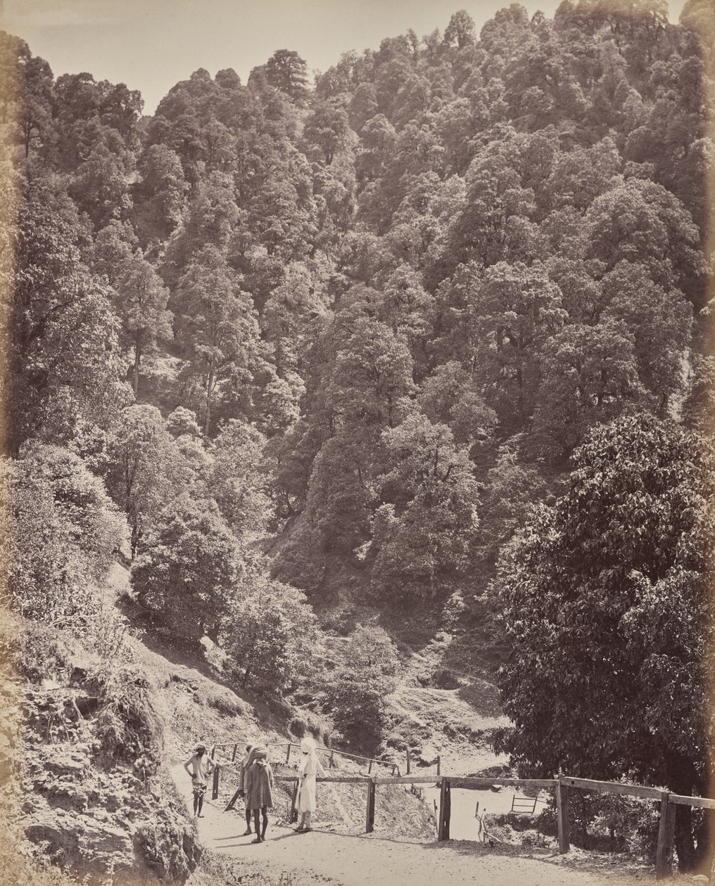 Shimla. Vista hacia el norte del monte Jakko de Samuel Bourne
