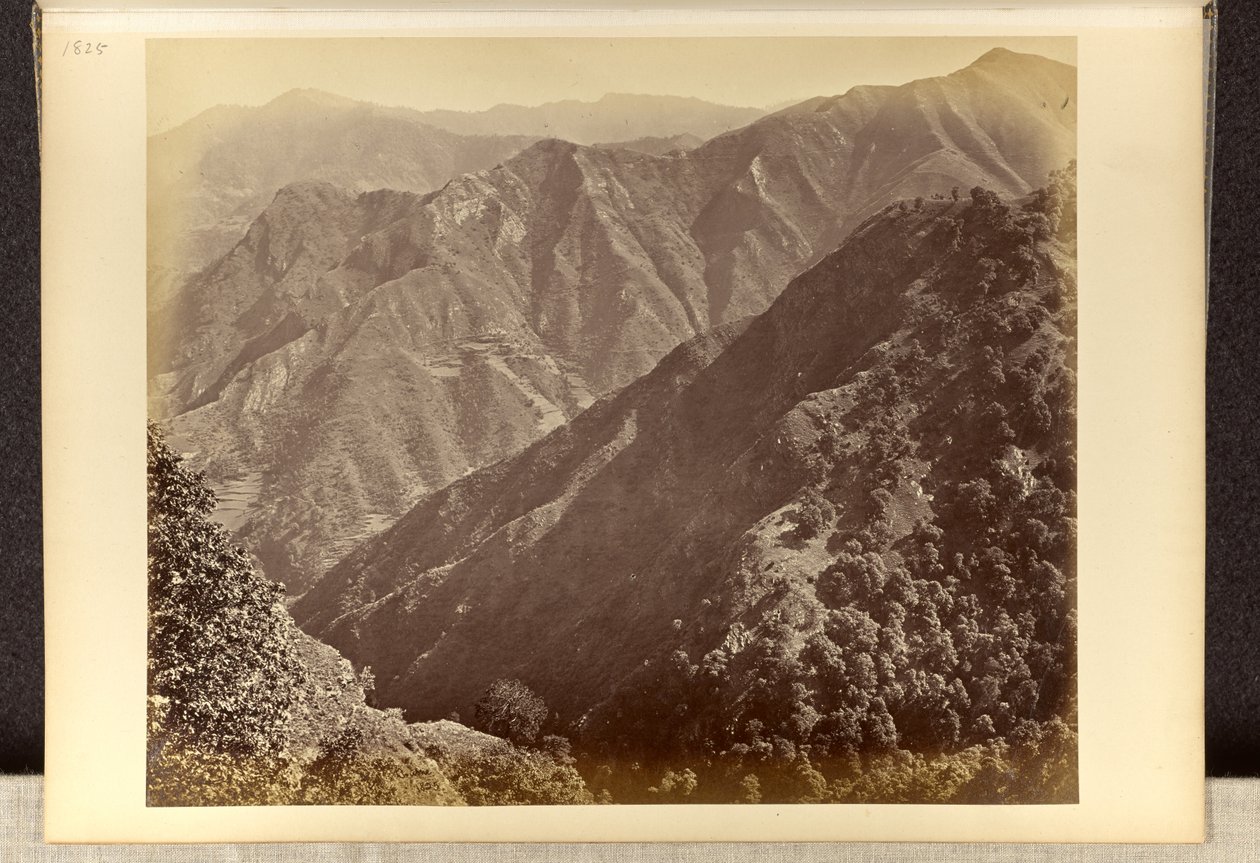 Simla; los «Khuds» al norte de Jakko desde Elysium Hill de Samuel Bourne
