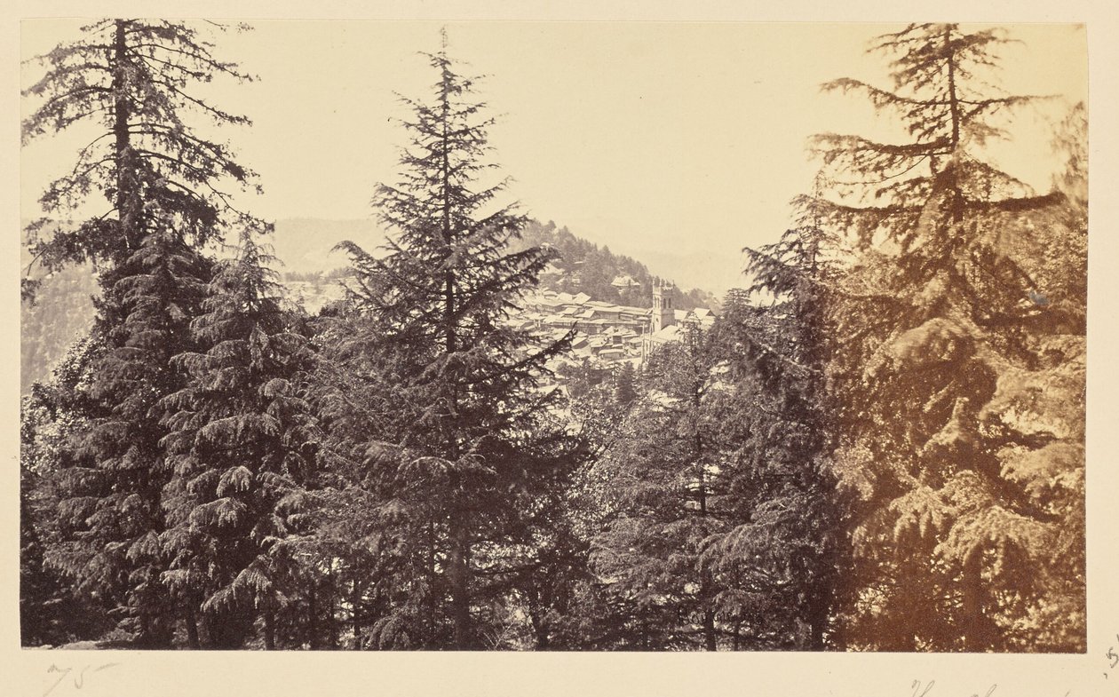 Simla; La iglesia a través de los árboles, de Jakko de Samuel Bourne