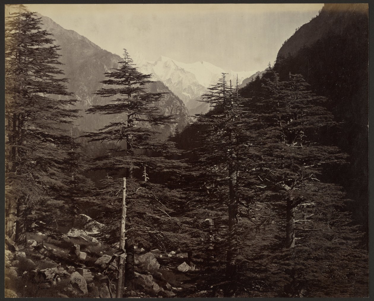 Picos nevados cerca de Gangotri, desde Bhairamghati de Samuel Bourne