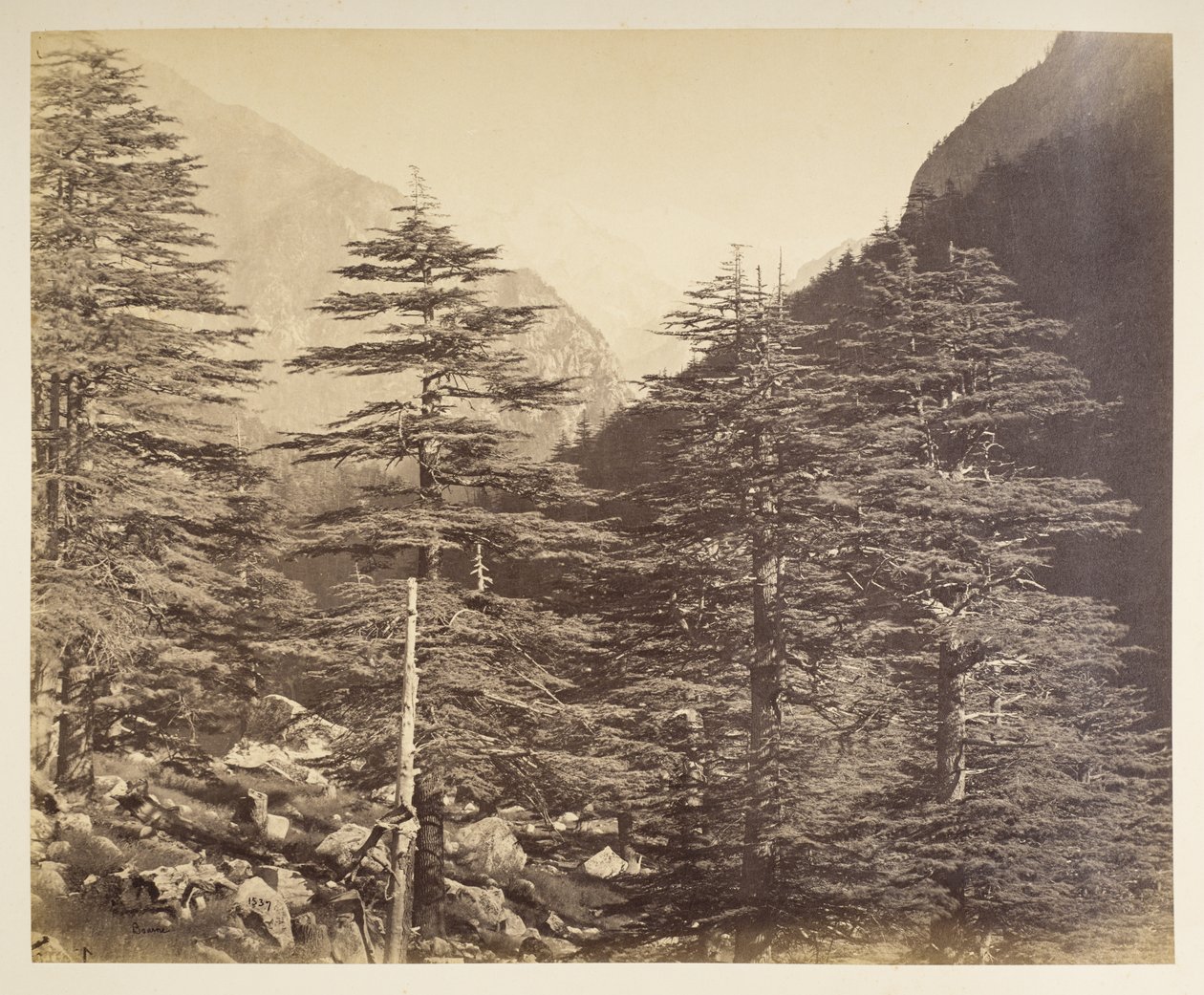 Picos nevados cerca de Gangootri desde Bhairamghati. Fotógrafo: Bourne, Samuel Álbum de fotografías de la India, principalmente por Samuel Bourne1866 de Samuel Bourne