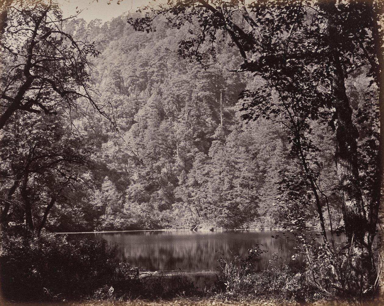 El Alto Himalaya. El valle de Dodee, en el lago de Samuel Bourne