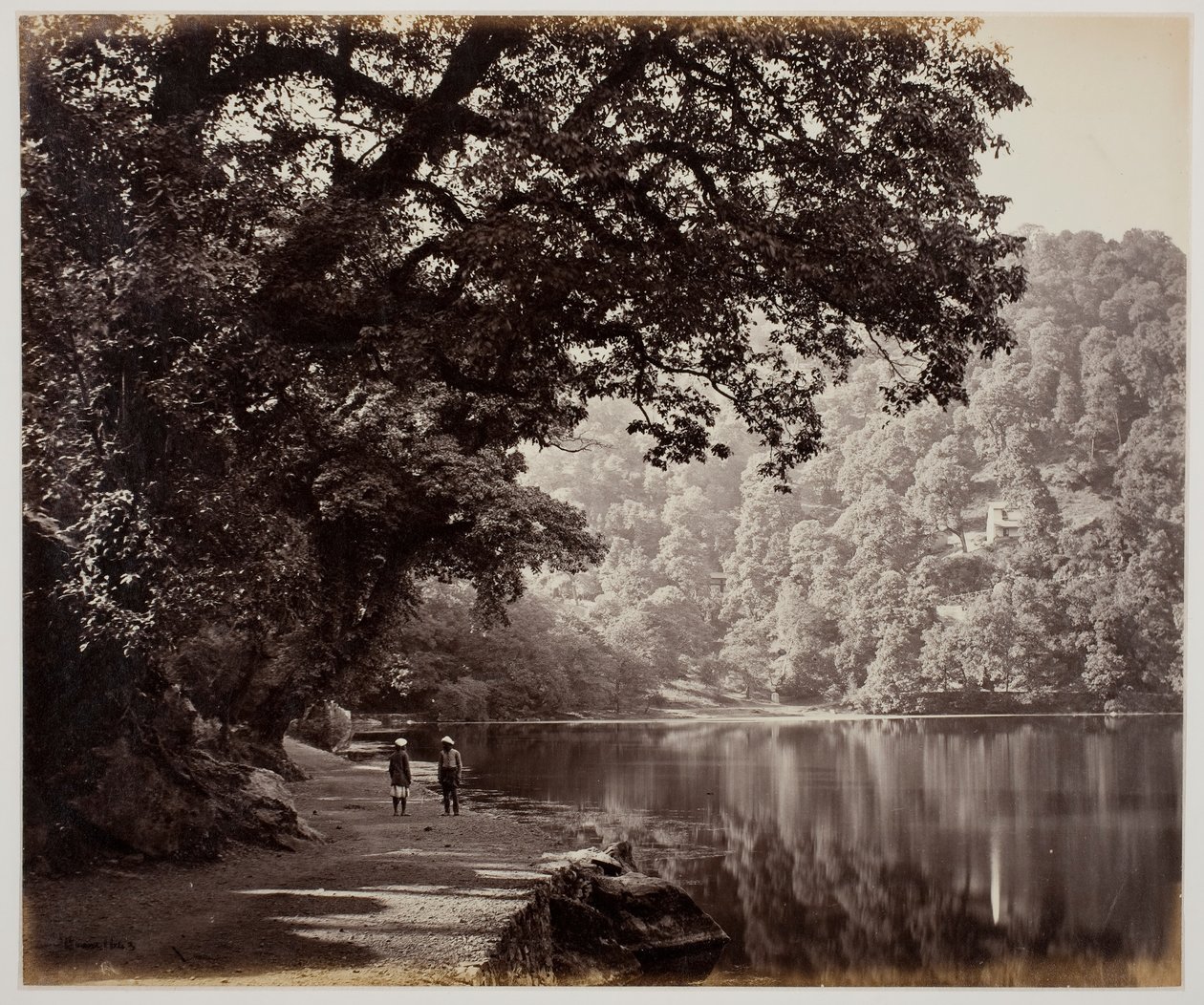 Sin título [árboles cerca del agua, India], 1870s de Samuel Bourne
