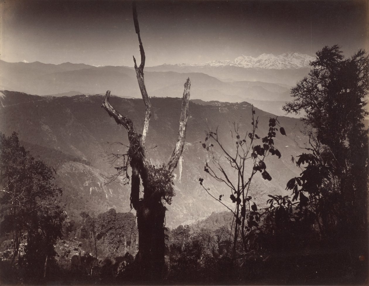 Vista desde Senchal de Samuel Bourne