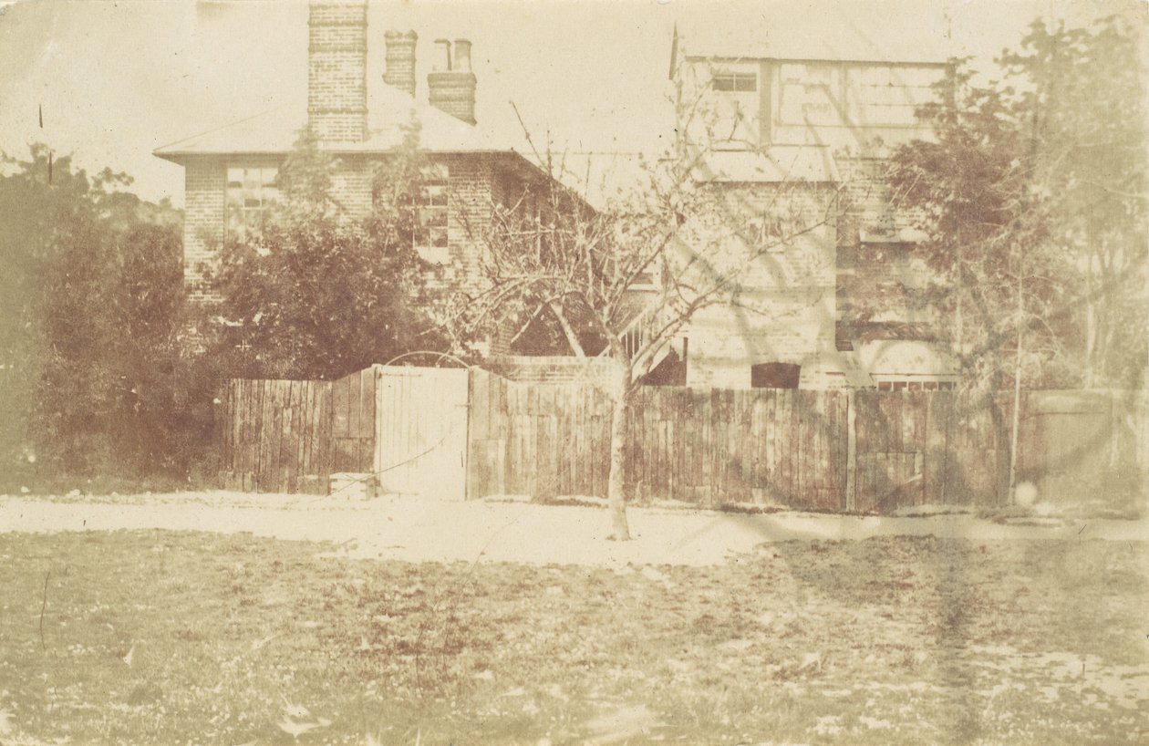 Árbol en el patio, 1850s de Samuel Buckle