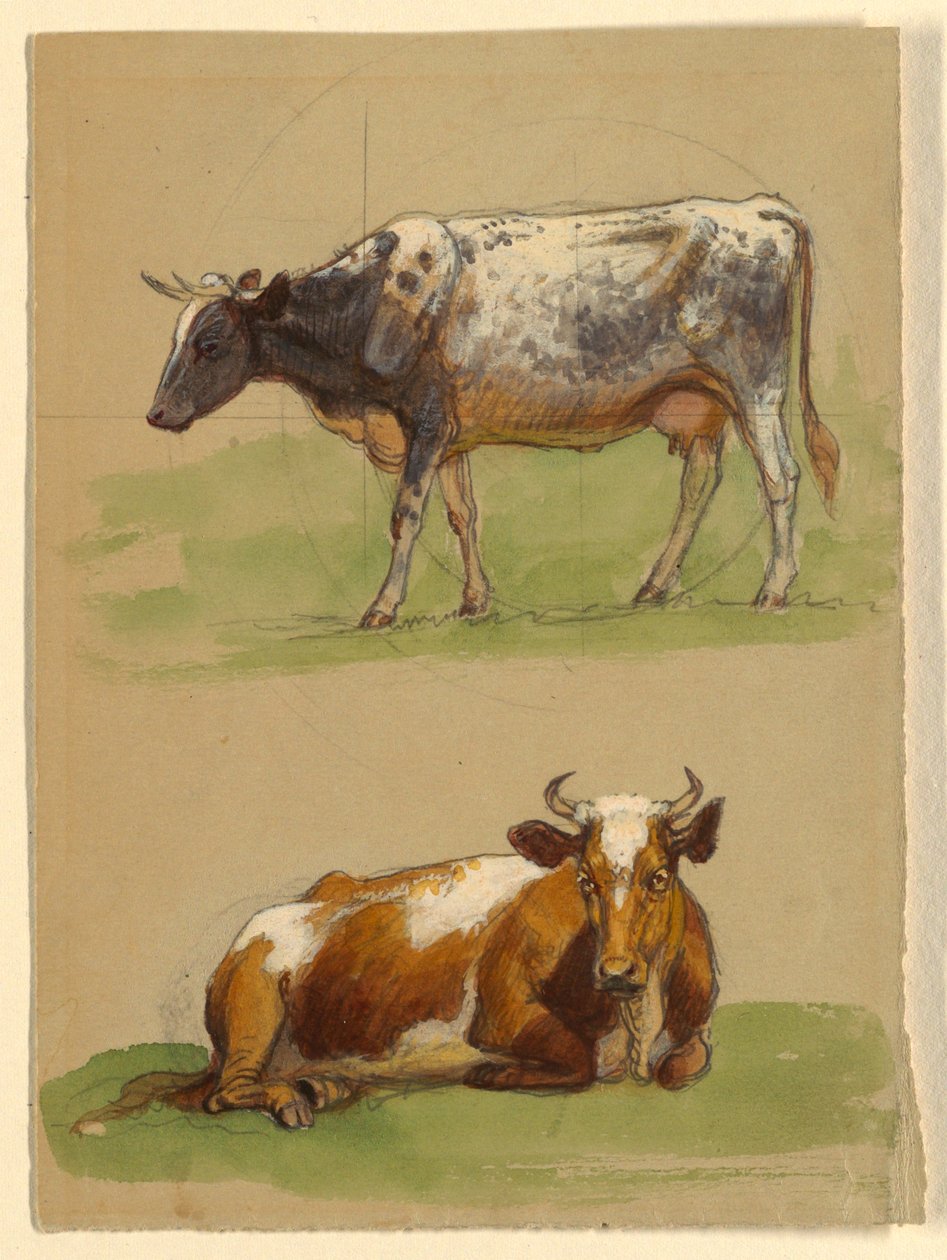Ganado, una vaca caminando y una vaca agachada de Samuel Colman
