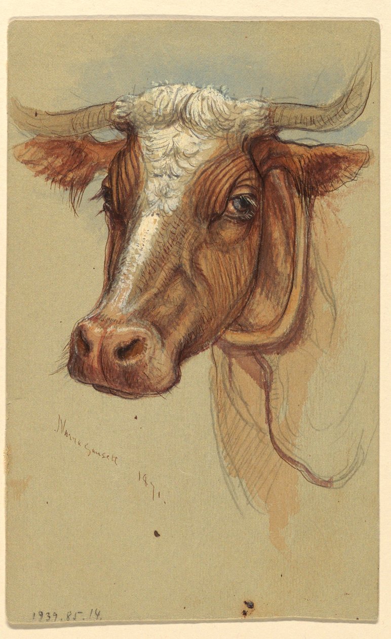 Dibujo, Bocetos de Narragansett, Rhode Island, 1871 de Samuel Colman