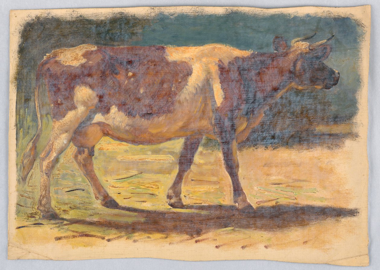 Dibujo, Estudios. Vacas, agosto de 1876 de Samuel Colman