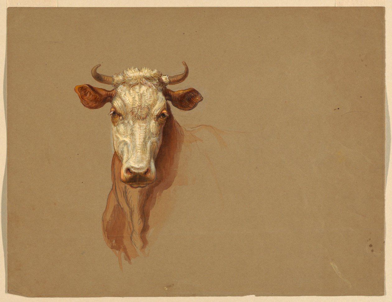 Dibujo, Dos estudios.  Ganado, 1876 de Samuel Colman