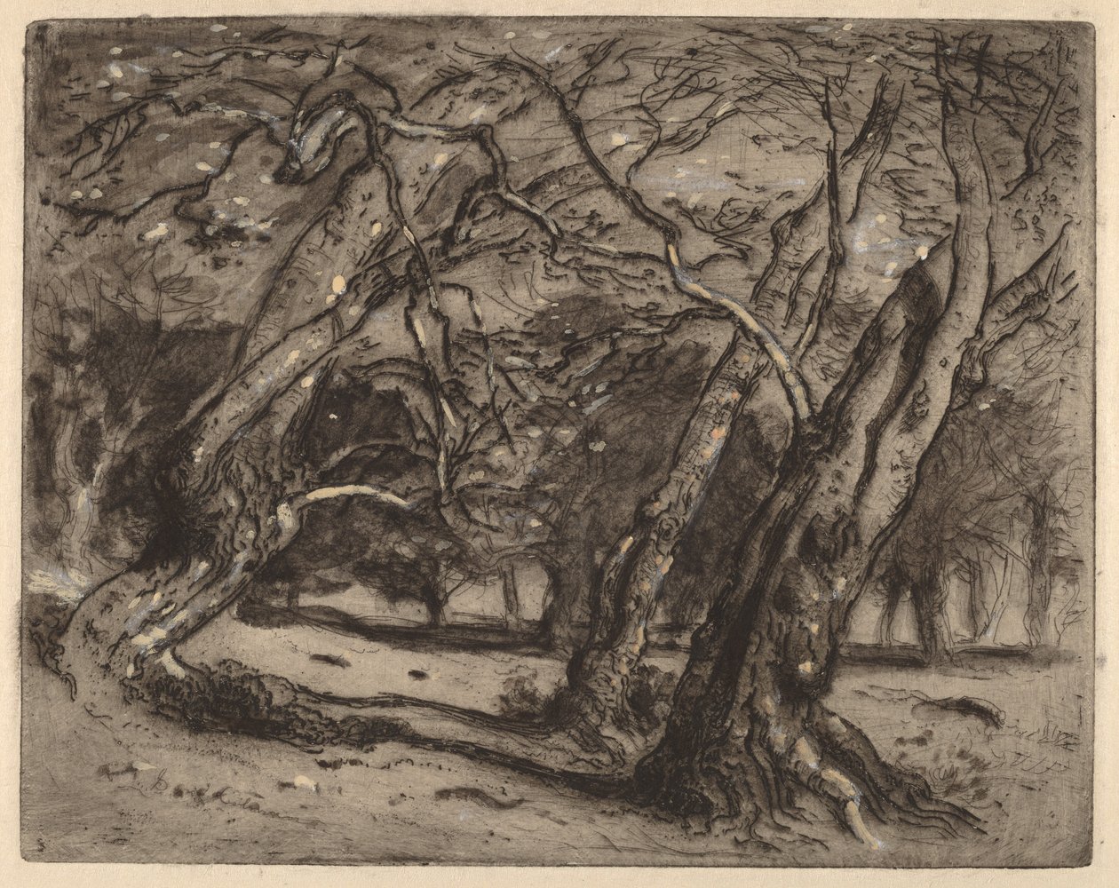 Sin título (Paisaje boscoso) de Samuel Colman
