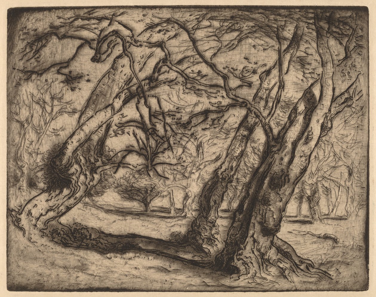 Sin título (Paisaje boscoso) de Samuel Colman