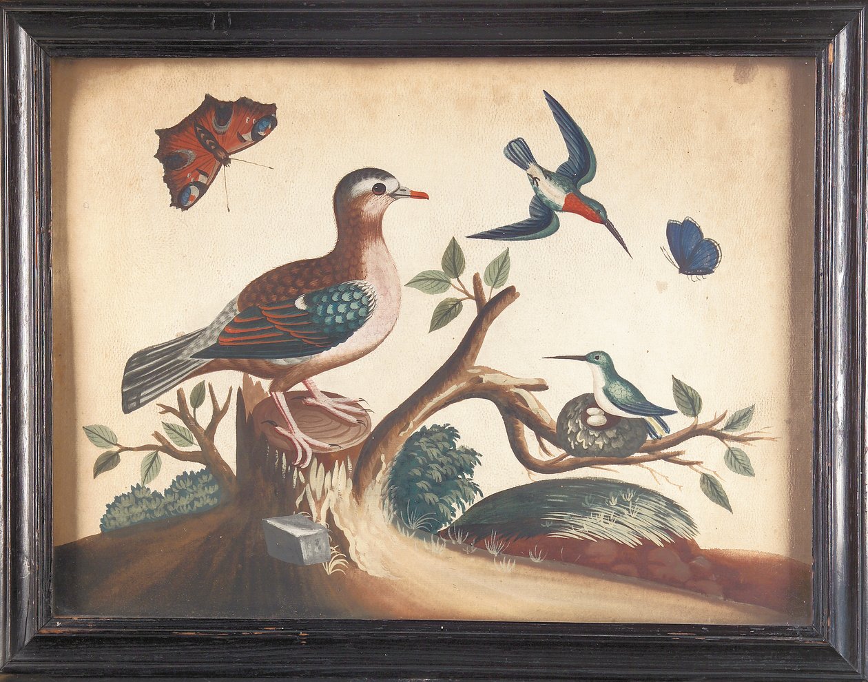 Paloma de alas verdes, con colibríes de garganta roja, mariposa pavo real y mariposa ultramarina de Samuel Dixon