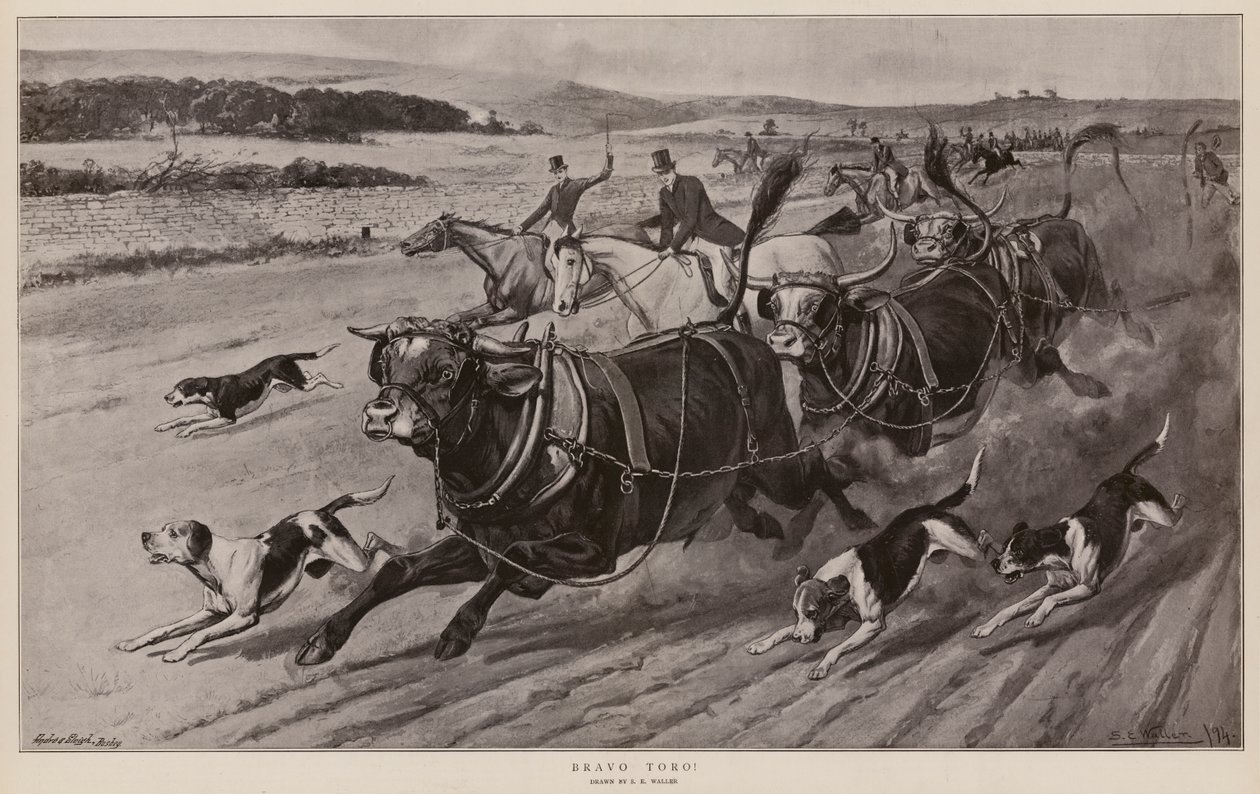 ¡Bravo Toro! (litografía) de Samuel Edmund (after) Waller