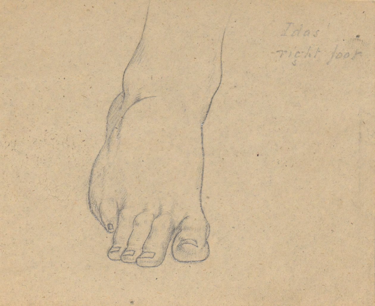 Estudio para el Juicio de Júpiter (Idas, pie derecho) de Samuel Finley Breese Morse