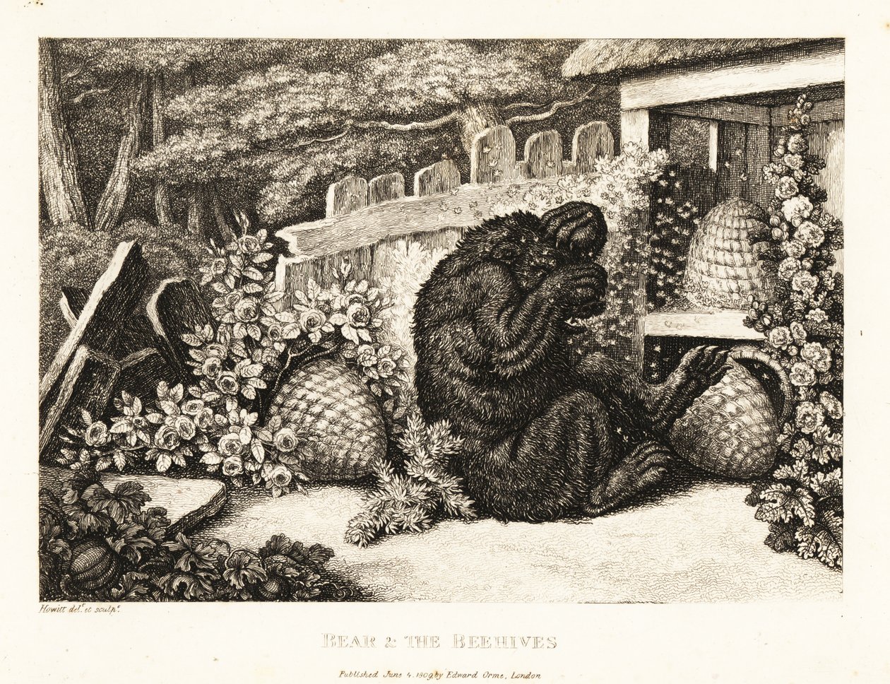 Un oso pardo atacado por un ejército de abejas. 1811 (grabado) de Samuel Howitt