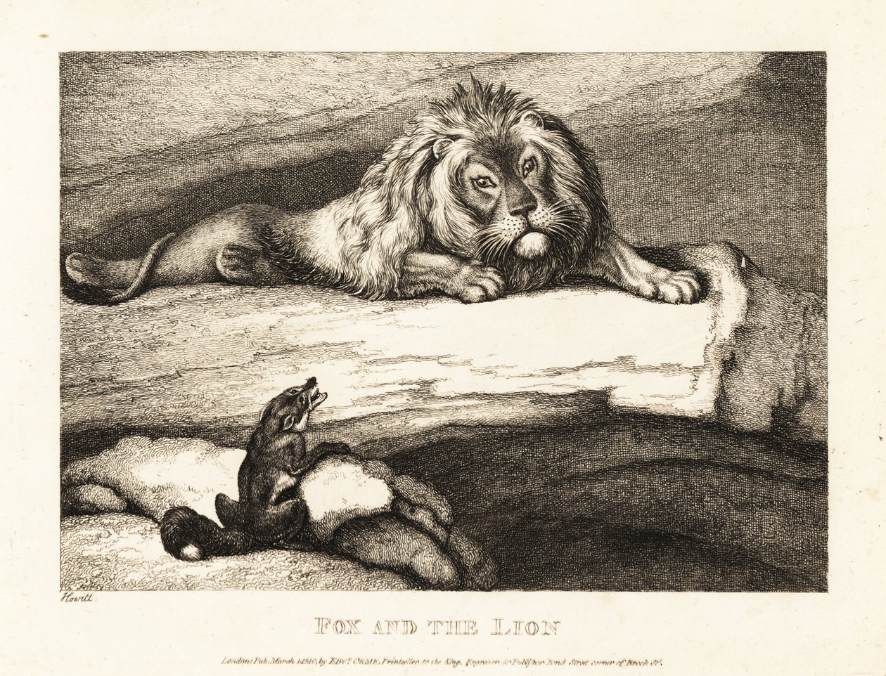 Un zorro acercándose tontamente a un león macho en su guarida. 1811 (grabado) de Samuel Howitt